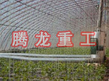 大棚花卉供暖設(shè)備、大棚卉采暖設(shè)備、大棚花卉取暖設(shè)備