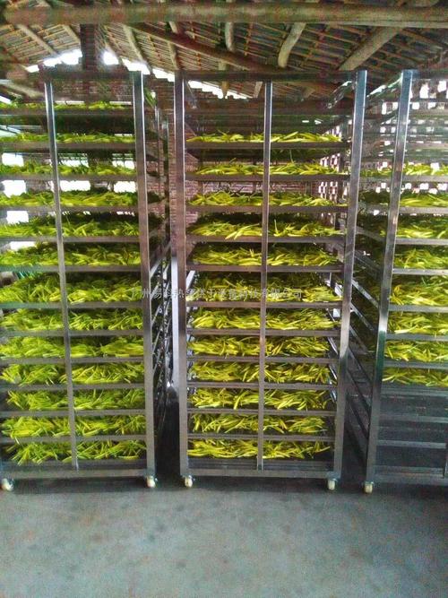 黃花菜烘干機(jī)、黃花菜烘干設(shè)備、黃花菜干燥機(jī)、黃花菜干燥設(shè)備、